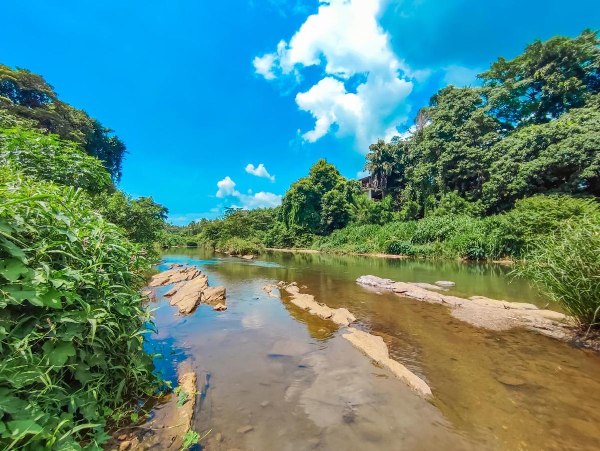 Peacock Village Pinnawala - Offer Alert! Elephant Welfare Program Exterior photo