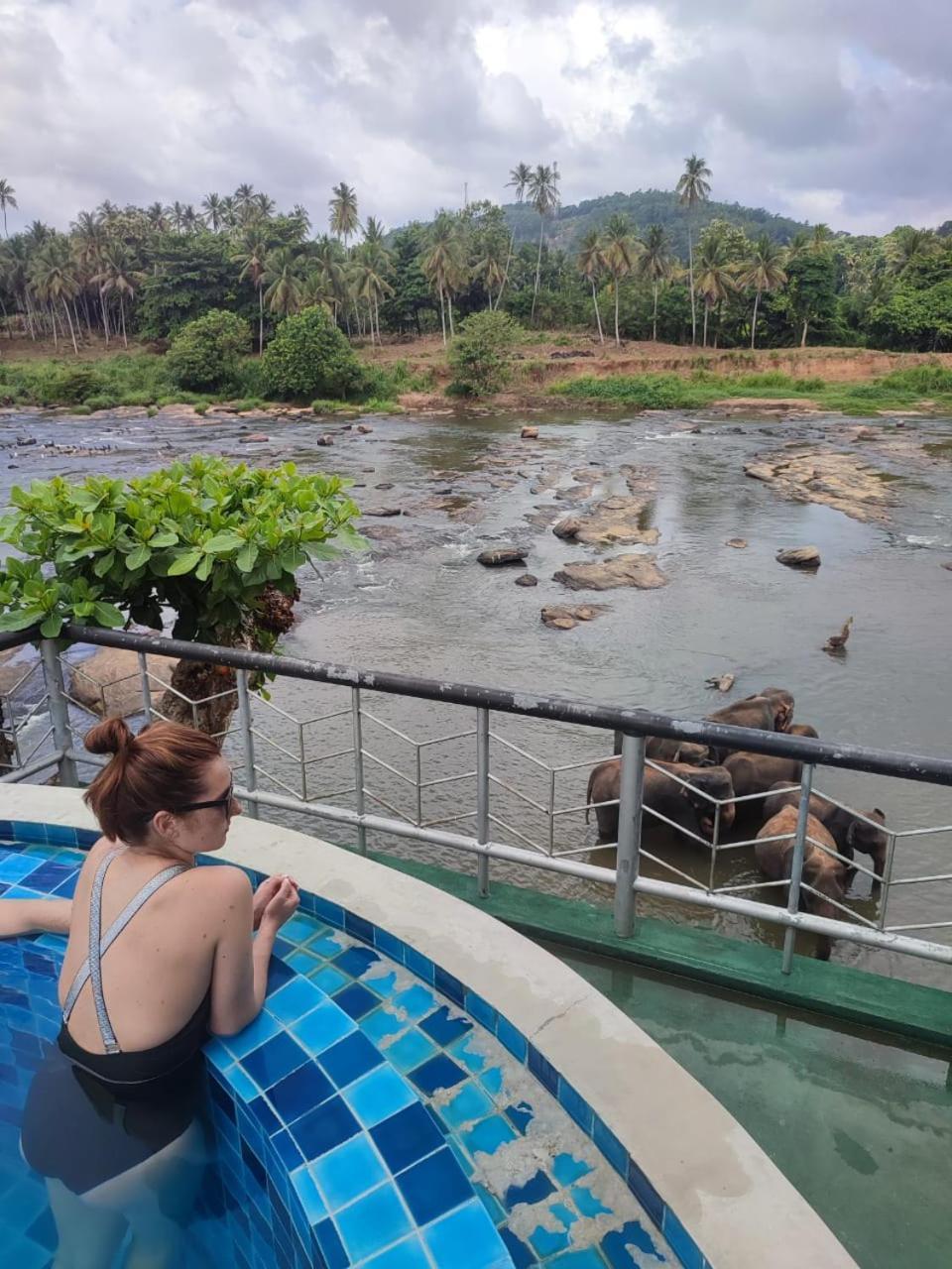 Peacock Village Pinnawala - Offer Alert! Elephant Welfare Program Exterior photo