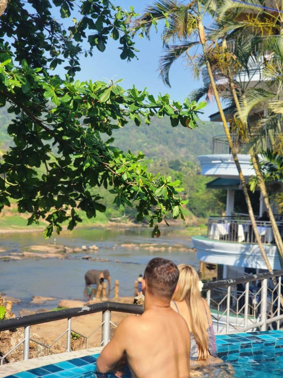 Peacock Village Pinnawala - Offer Alert! Elephant Welfare Program Exterior photo