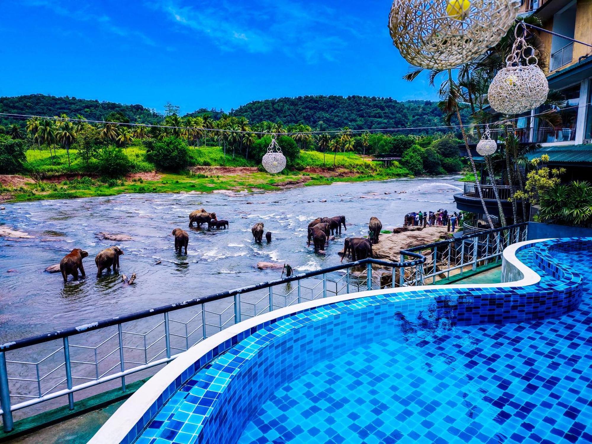 Peacock Village Pinnawala - Offer Alert! Elephant Welfare Program Exterior photo